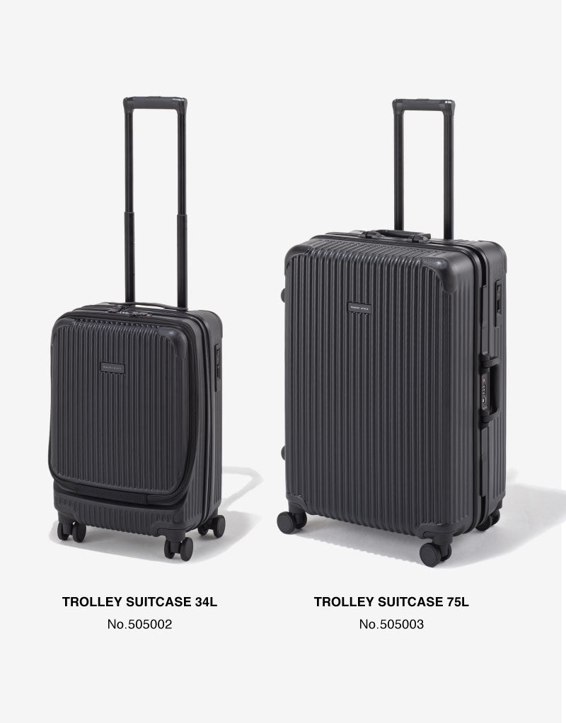 Pull along suitcase online