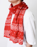 杰作×乔拉斯体育tanugui编号425001