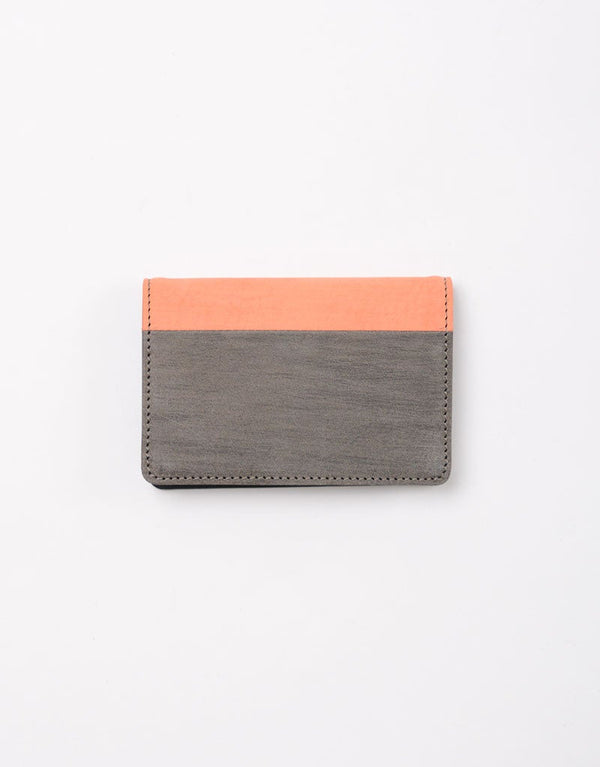 Cardcard Case No. 04065